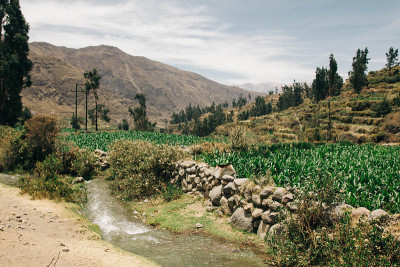 秘鲁科尔卡峡谷-种植园