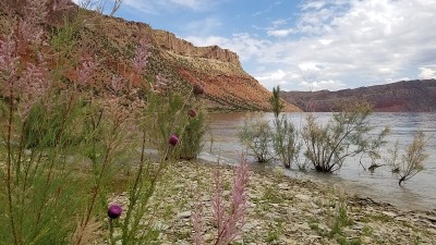 火焰山水库沙漠沉积地层