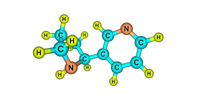 诺尼古丁分子结构孤立于白色