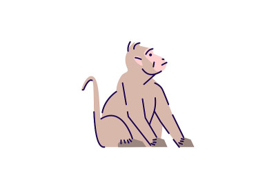 猴子看半平面RGB颜色矢量图