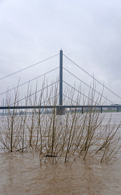 莱茵河洪水Düsseldorf，德国