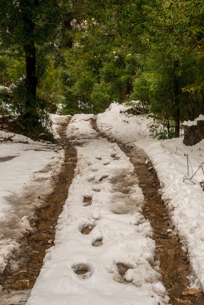 雪山覆盖的道路-雄伟的冬季景观在喜马拉雅山