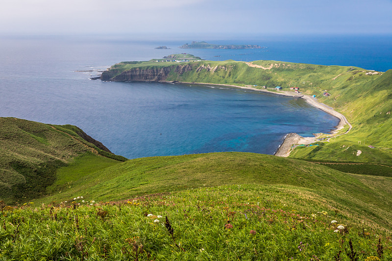 苏可顿角，Todo岛，和海角旅游路线上的野花，Rebun岛，日本