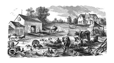 美国第一世纪插图- 1873 -农场-农舍-动物
