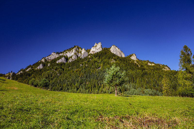 三冠全景。