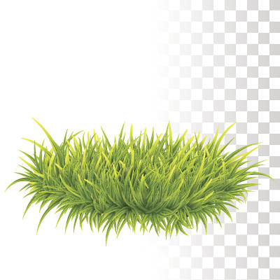 绿色的向量草