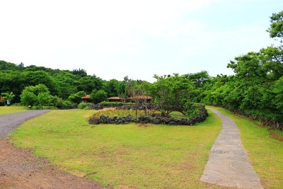 京来自然休养林，野营所，树林