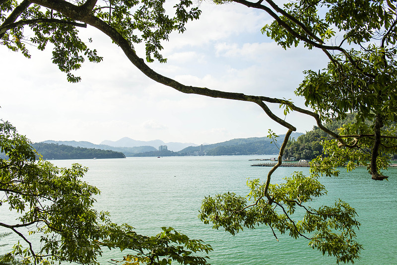 湖水和树枝