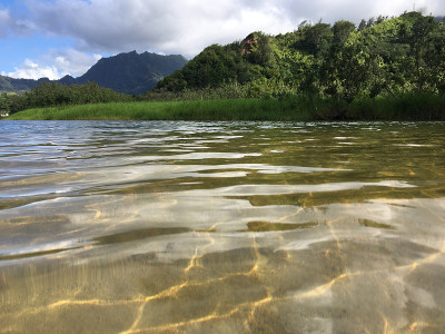 夏威夷考艾岛哈纳雷海湾的怀奥里河，进入太平洋。