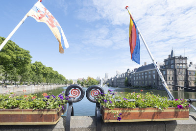 荷兰海牙历史悠久的宾尼霍夫(Binnenhof)和霍夫维弗湖(Hofvijver lake)，前景是