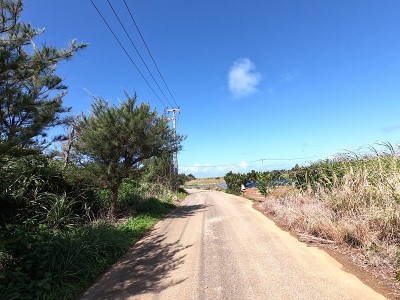 农场道路的景色