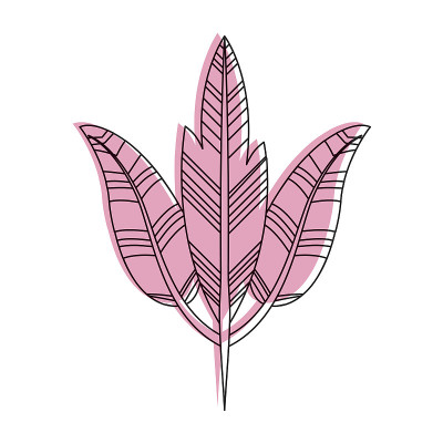 波西米亚风格的装饰羽毛