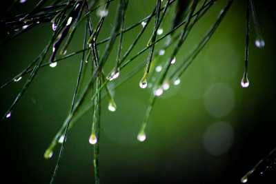 它在下雨