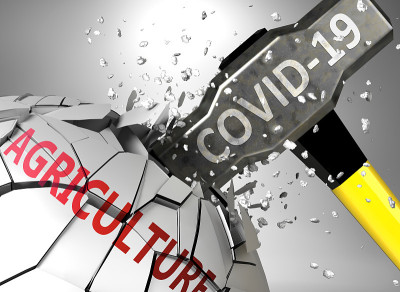 农业和Covid-19病毒，以病毒摧毁单词农业为象征，描绘了冠状病毒影响农业，导致危机和衰退，3d插
