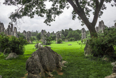 中国云南昆明石林风景