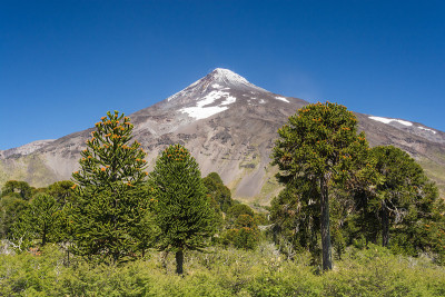 令人惊叹的拉宁火山从马穆伊马拉尔，智利。