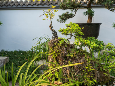 风景成都，四川省，中国。