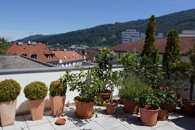 在Bregenz, Vorarlberg的顶层城市花园的观点。