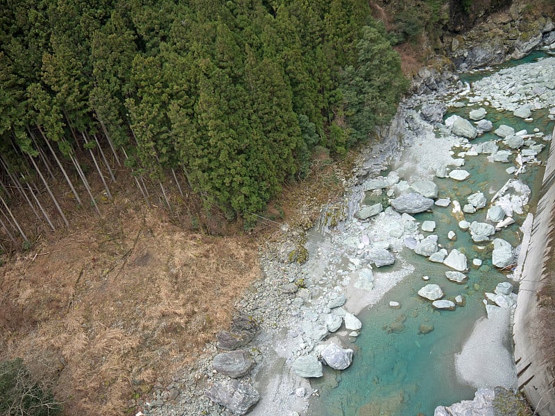 山河森林