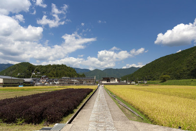 日本熊野地区