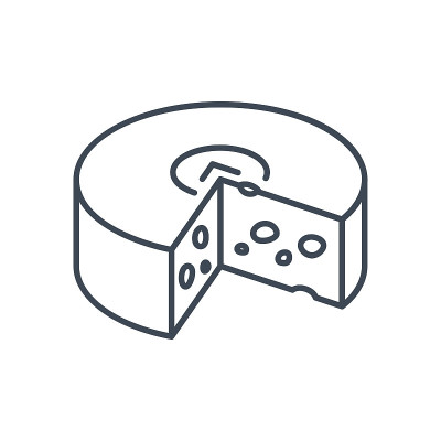 thin line icon cheese wheel