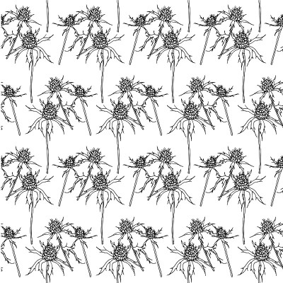 Blue eryngo seamless monochrome pattern design ele