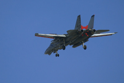 F-14 Tomcat -着陆