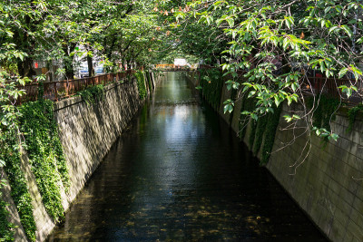 目黒川沿いの風景