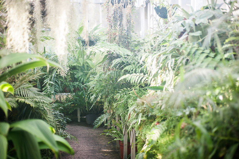 布里斯托大学植物园