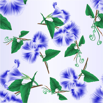 无缝纹理牵牛花蓝色春花复古矢量插图编辑
