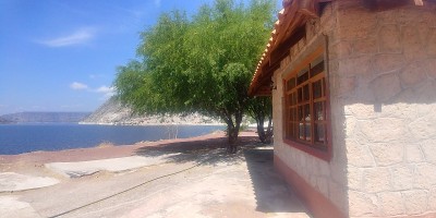 墨西哥伊达尔戈的Zimapan大坝和小木屋的动植物