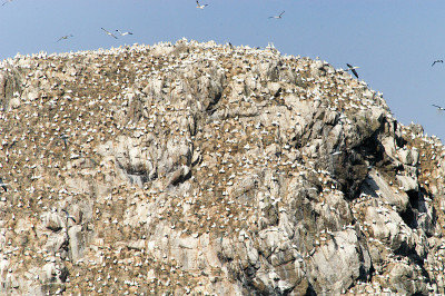 基地在9月Îles，布列塔尼，法国