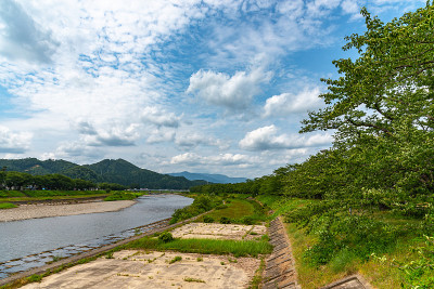 日冲绳河岸边夏日阳光明媚