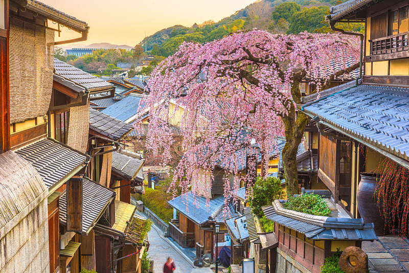 京都，日本的春天老城