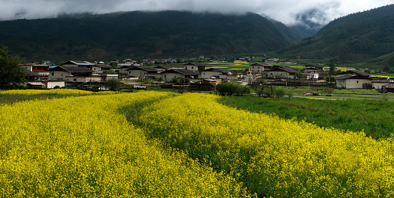 香格里拉藏族村的景观