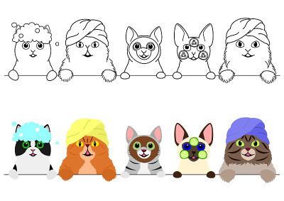 猫咪们在享受spa