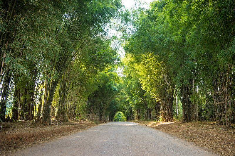 竹隧道