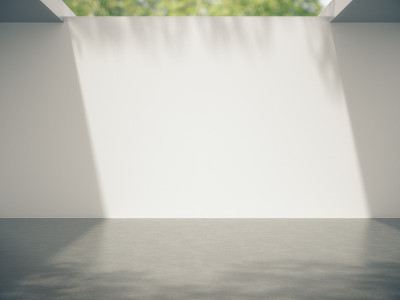 产品展示的空间和树在墙上的阴影。3d渲染。
