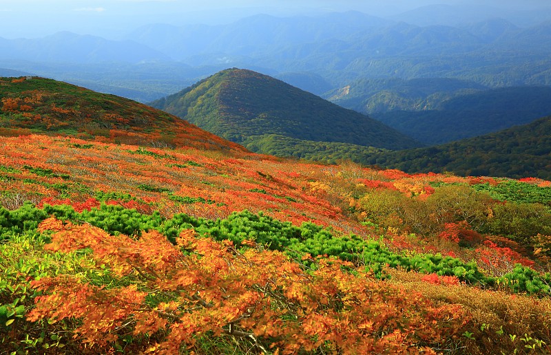 栗山的秋叶