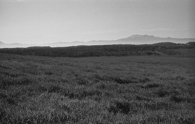 北海道治别试验农场(农场)