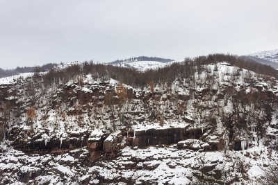 山顶上覆盖着积雪和枯树