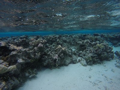 环礁的边缘和沙天堂在Truk泻湖，Chuuk