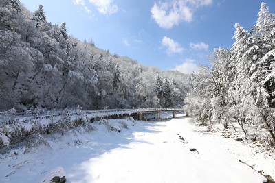 美丽的冬天的风景。雪山、树木和桥景(韩国江原道御田山国家公园)