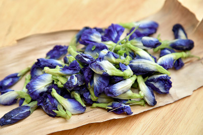 豌豆花，阴蒂兰，蝴蝶蓝。