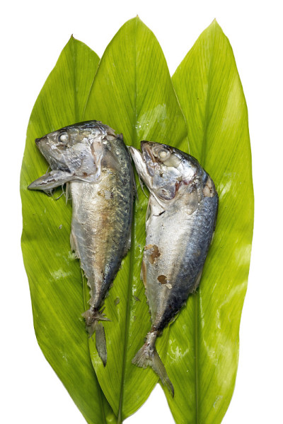芭蕉叶夹两条鲭鱼