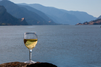 霞多丽葡萄酒杯倒转哥伦比亚河峡谷华盛顿俄勒冈景观