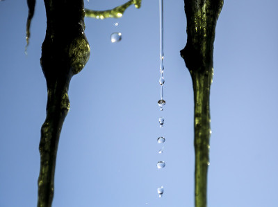 水在空气中滴落
