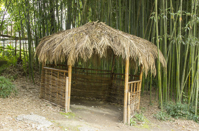 竹林中的热带小屋