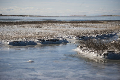 Chincoteague