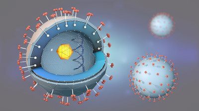 肝炎病原体的dna、细胞核和受体横切面的3d插图